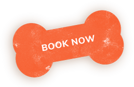 Book Now