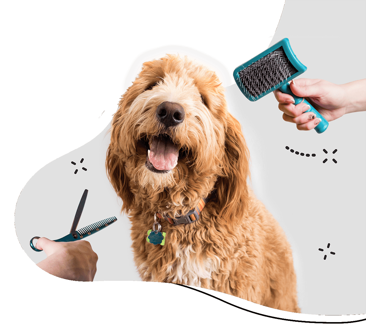 Grooming