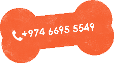 Call Us