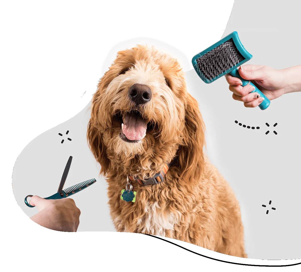 Grooming