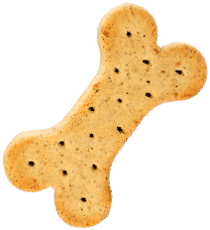 https://petstation.qa/wp-content/uploads/2019/08/cookie.png