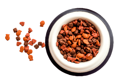 https://petstation.qa/wp-content/uploads/2019/08/floating_food.png