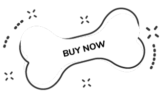 https://petstation.qa/wp-content/uploads/2019/08/text_08.png
